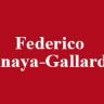 Federico Anaya Gallardo